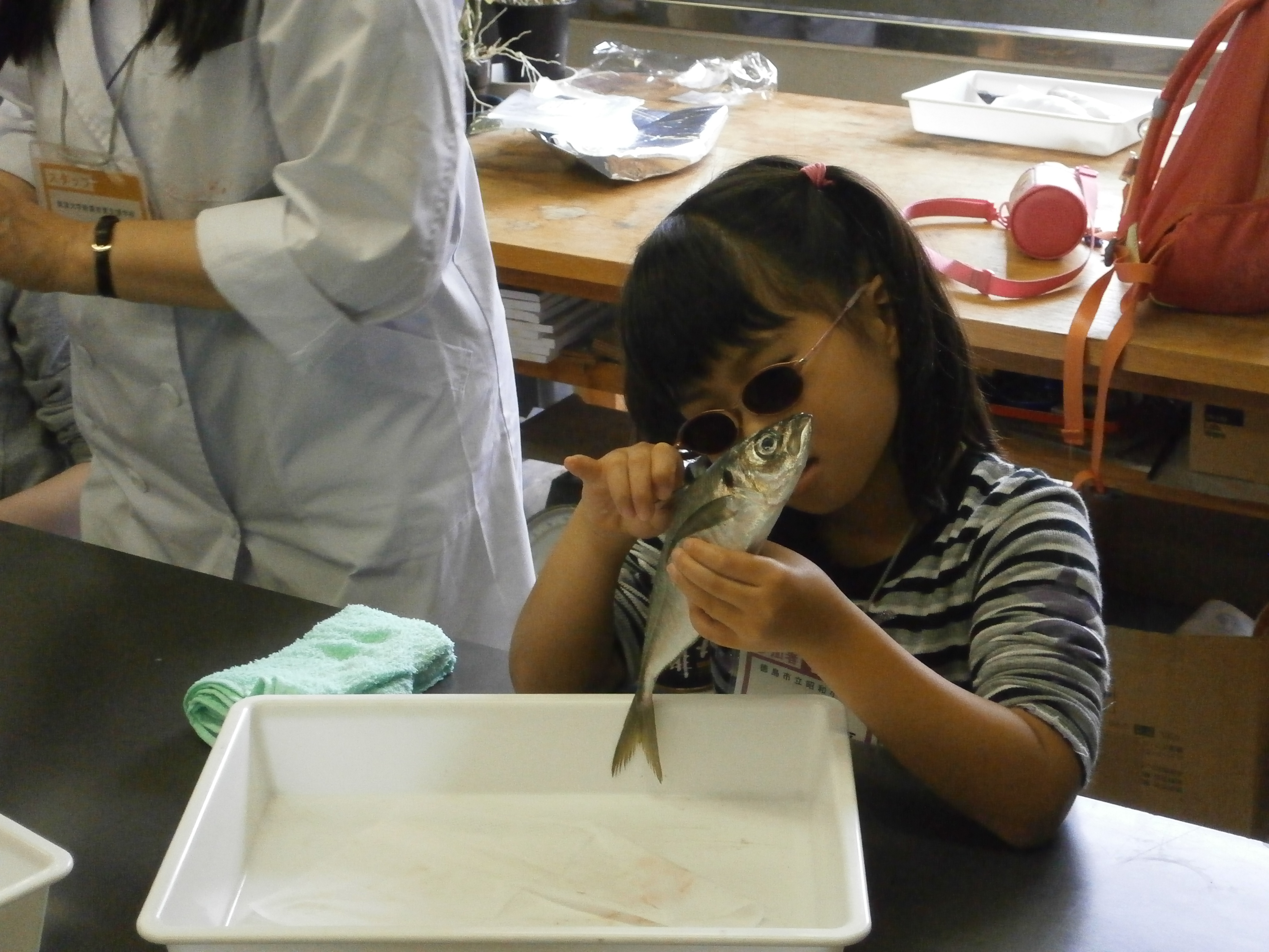 科学へジャンプin岡山2016の写真